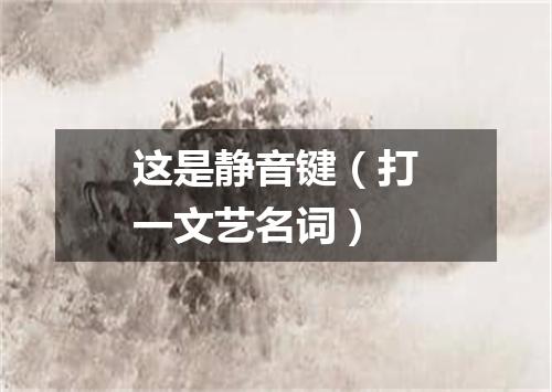 这是静音键（打一文艺名词）