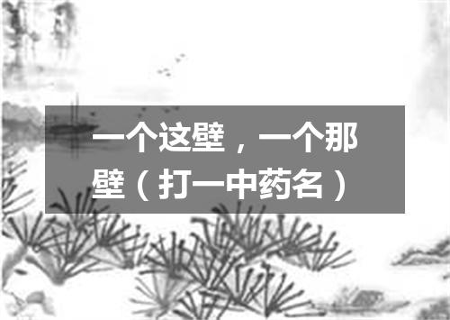 一个这壁，一个那壁（打一中药名）