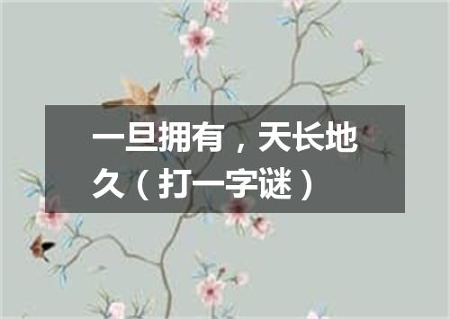 一旦拥有，天长地久（打一字谜）