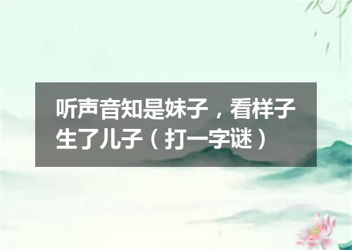听声音知是妹子，看样子生了儿子（打一字谜）