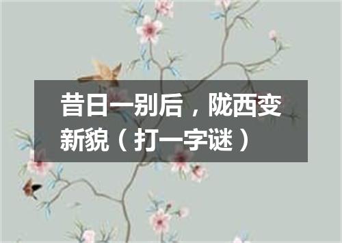 昔日一别后，陇西变新貌（打一字谜）