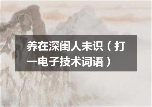 养在深闺人未识（打一电子技术词语）