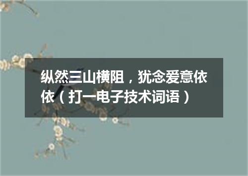 纵然三山横阻，犹念爱意依依（打一电子技术词语）