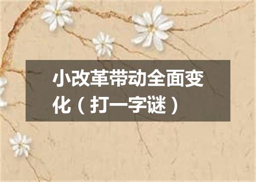小改革带动全面变化（打一字谜）