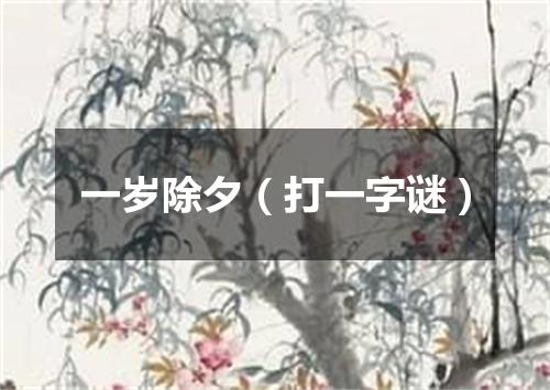 一岁除夕（打一字谜）