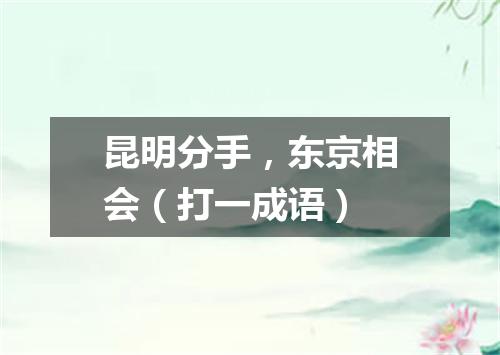 昆明分手，东京相会（打一成语）