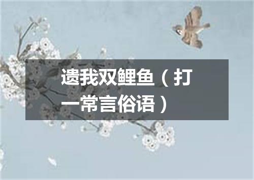 遗我双鲤鱼（打一常言俗语）