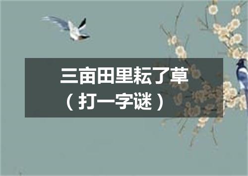 三亩田里耘了草（打一字谜）