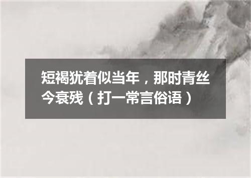 短褐犹着似当年，那时青丝今衰残（打一常言俗语）