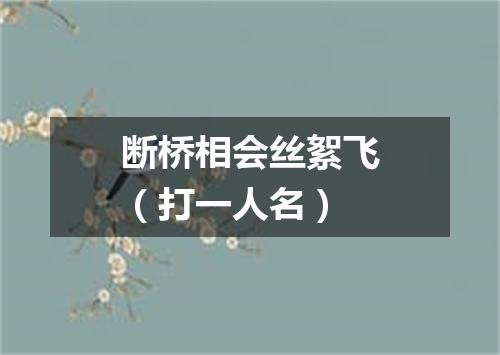 断桥相会丝絮飞（打一人名）