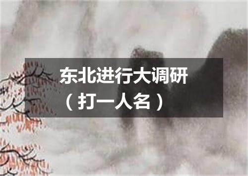 东北进行大调研（打一人名）
