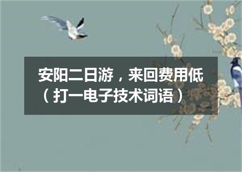 安阳二日游，来回费用低（打一电子技术词语）