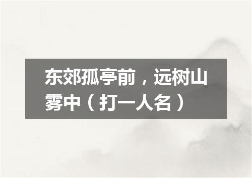 东郊孤亭前，远树山雾中（打一人名）