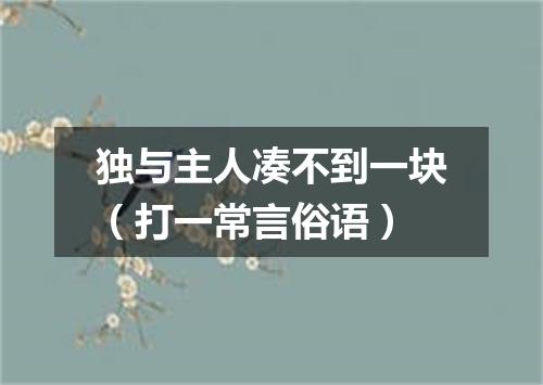 独与主人凑不到一块（打一常言俗语）