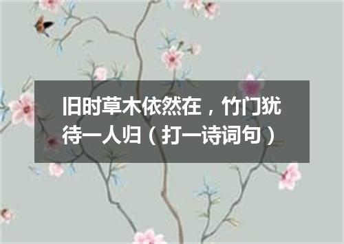 旧时草木依然在，竹门犹待一人归（打一诗词句）