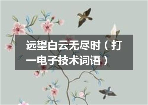 远望白云无尽时（打一电子技术词语）
