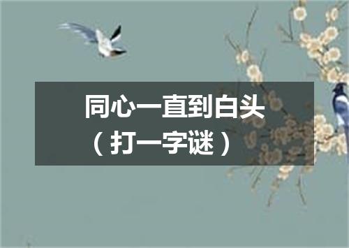 同心一直到白头（打一字谜）