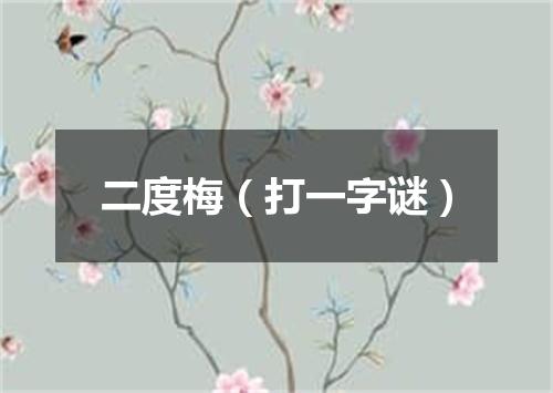 二度梅（打一字谜）