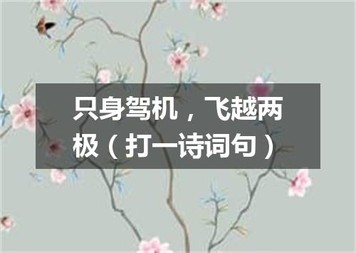 只身驾机，飞越两极（打一诗词句）