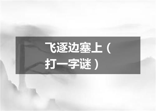 飞逐边塞上（打一字谜）