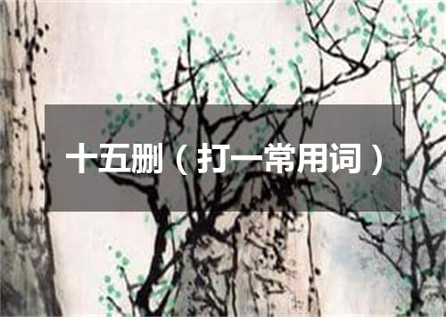十五删（打一常用词）