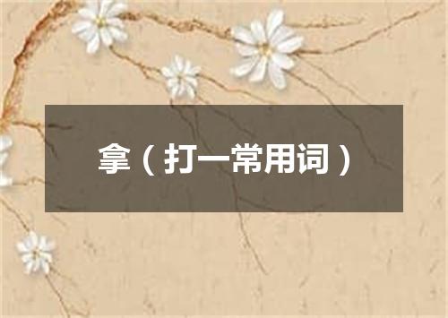 拿（打一常用词）