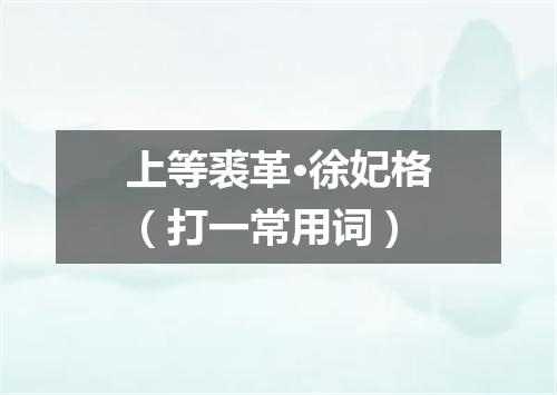 上等裘革·徐妃格（打一常用词）