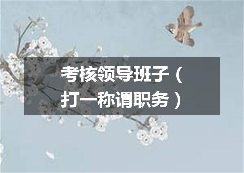 考核领导班子（打一称谓职务）