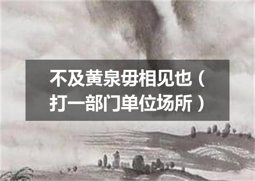 不及黄泉毋相见也（打一部门单位场所）