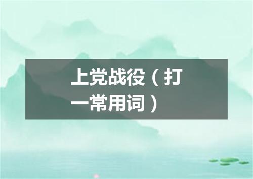 上党战役（打一常用词）