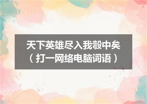 天下英雄尽入我彀中矣（打一网络电脑词语）