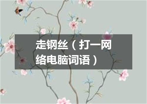 走钢丝（打一网络电脑词语）