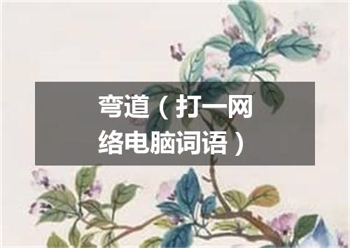 弯道（打一网络电脑词语）