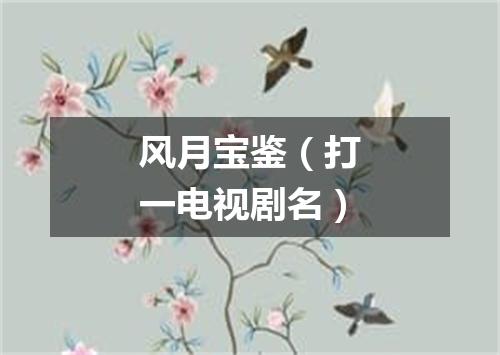 风月宝鉴（打一电视剧名）