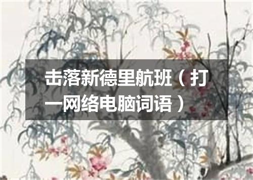 击落新德里航班（打一网络电脑词语）