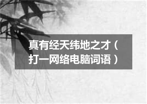 真有经天纬地之才（打一网络电脑词语）