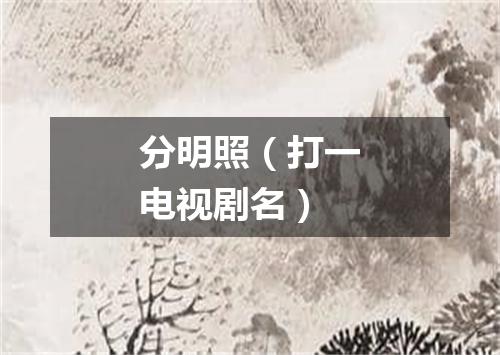 分明照（打一电视剧名）