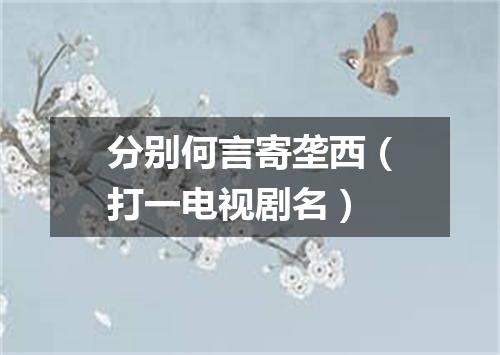 分别何言寄垄西（打一电视剧名）