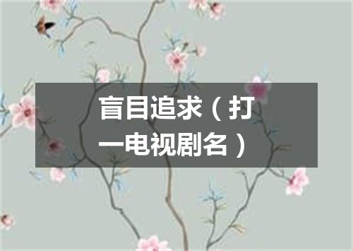 盲目追求（打一电视剧名）