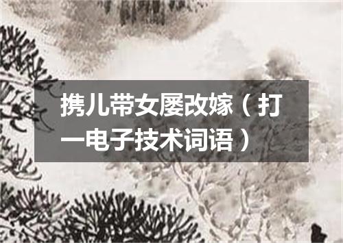 携儿带女屡改嫁（打一电子技术词语）