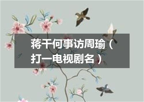 蒋干何事访周瑜（打一电视剧名）