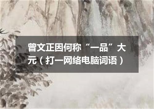 曾文正因何称“一品”大元（打一网络电脑词语）
