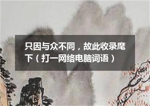只因与众不同，故此收录麾下（打一网络电脑词语）