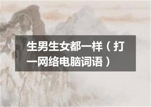 生男生女都一样（打一网络电脑词语）