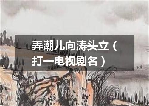 弄潮儿向涛头立（打一电视剧名）