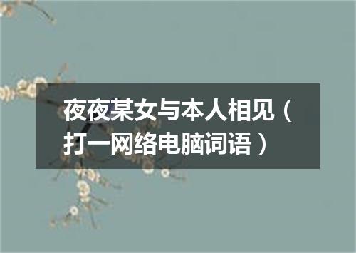 夜夜某女与本人相见（打一网络电脑词语）