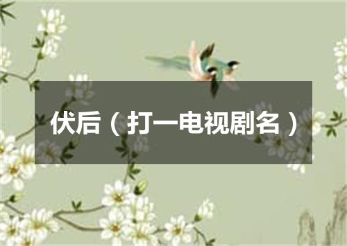 伏后（打一电视剧名）
