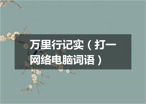 万里行记实（打一网络电脑词语）