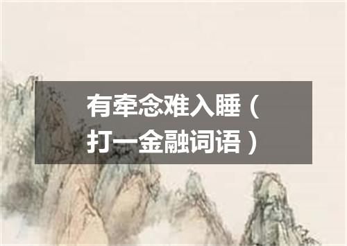 有牵念难入睡（打一金融词语）