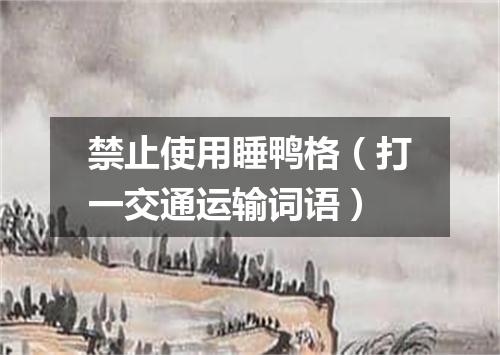禁止使用睡鸭格（打一交通运输词语）